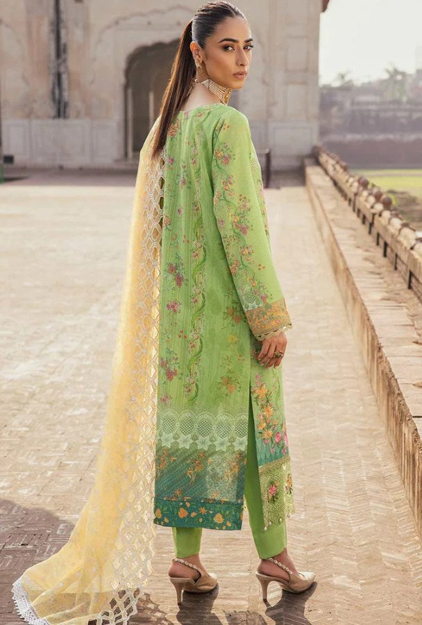 Rajbari Chikankari Winter