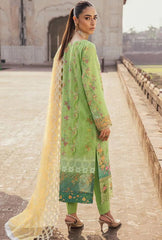 Rajbari Chikankari Winter