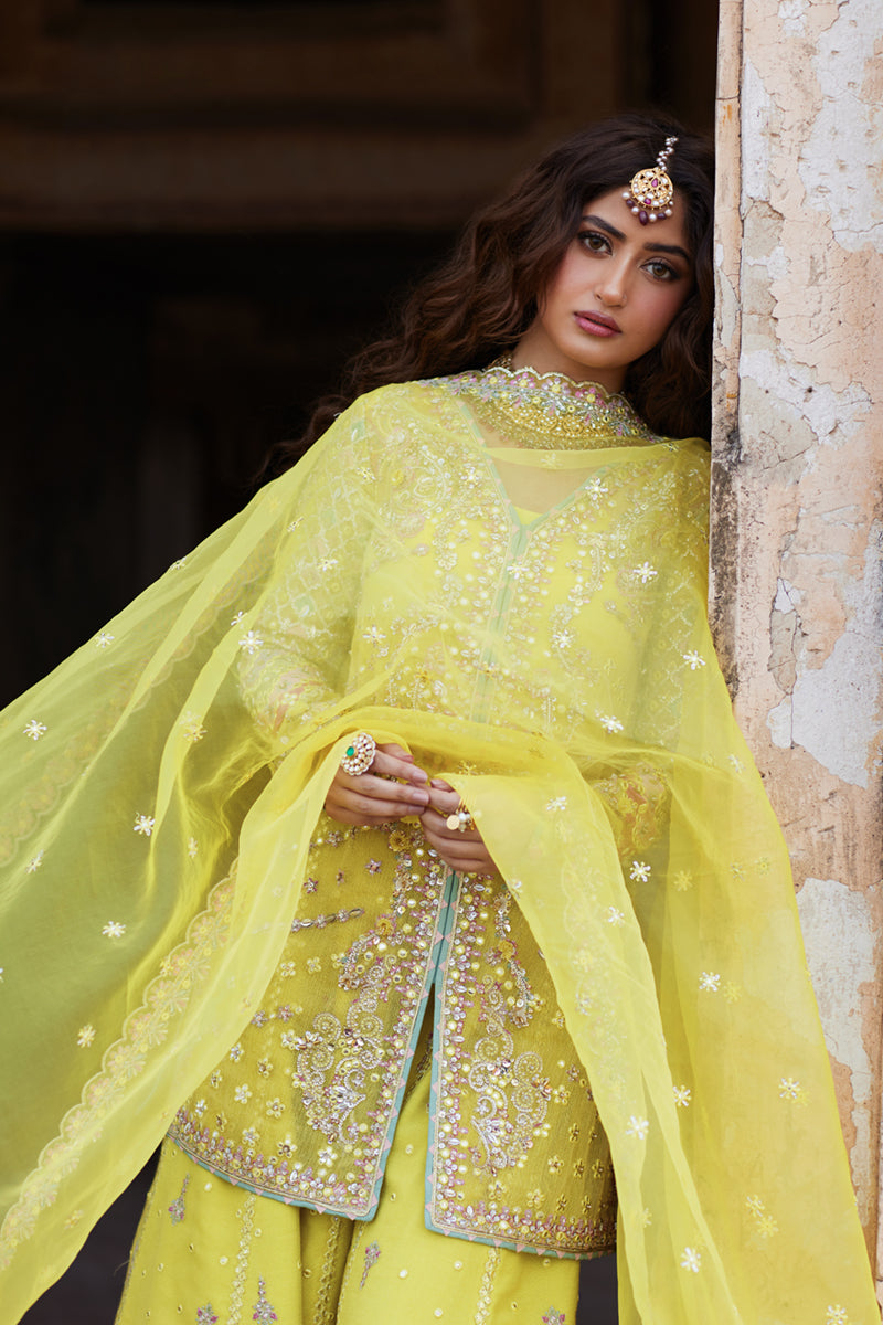 Qalamkar Shadmani Luxury Formals