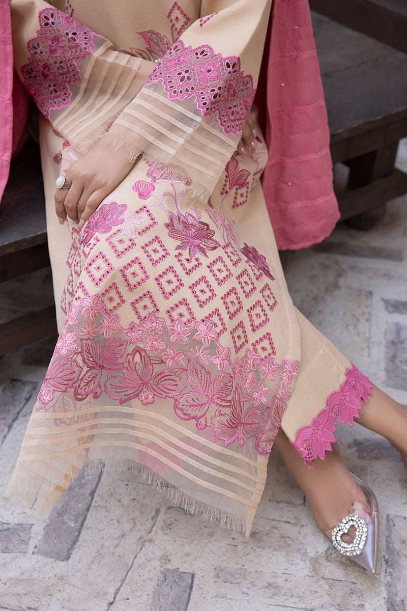 Karandi Shawl Collection By Rang Rasiya