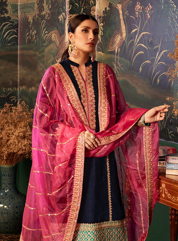 Zainab Chottani Velvet Collection AMIRA D-4