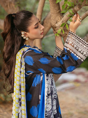 Zainab Chottani Tahra Embroidered Lawn 24 (10B)