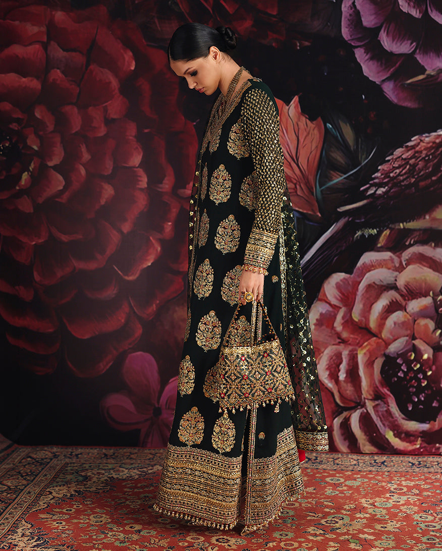 Roheenaz Royale Eternel | Chiffon Edit '26