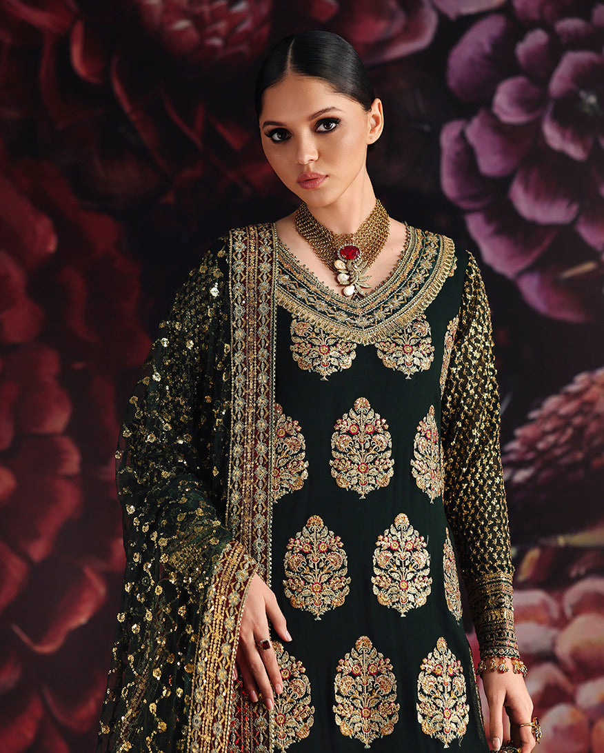 Roheenaz Royale Eternel | Chiffon Edit '26