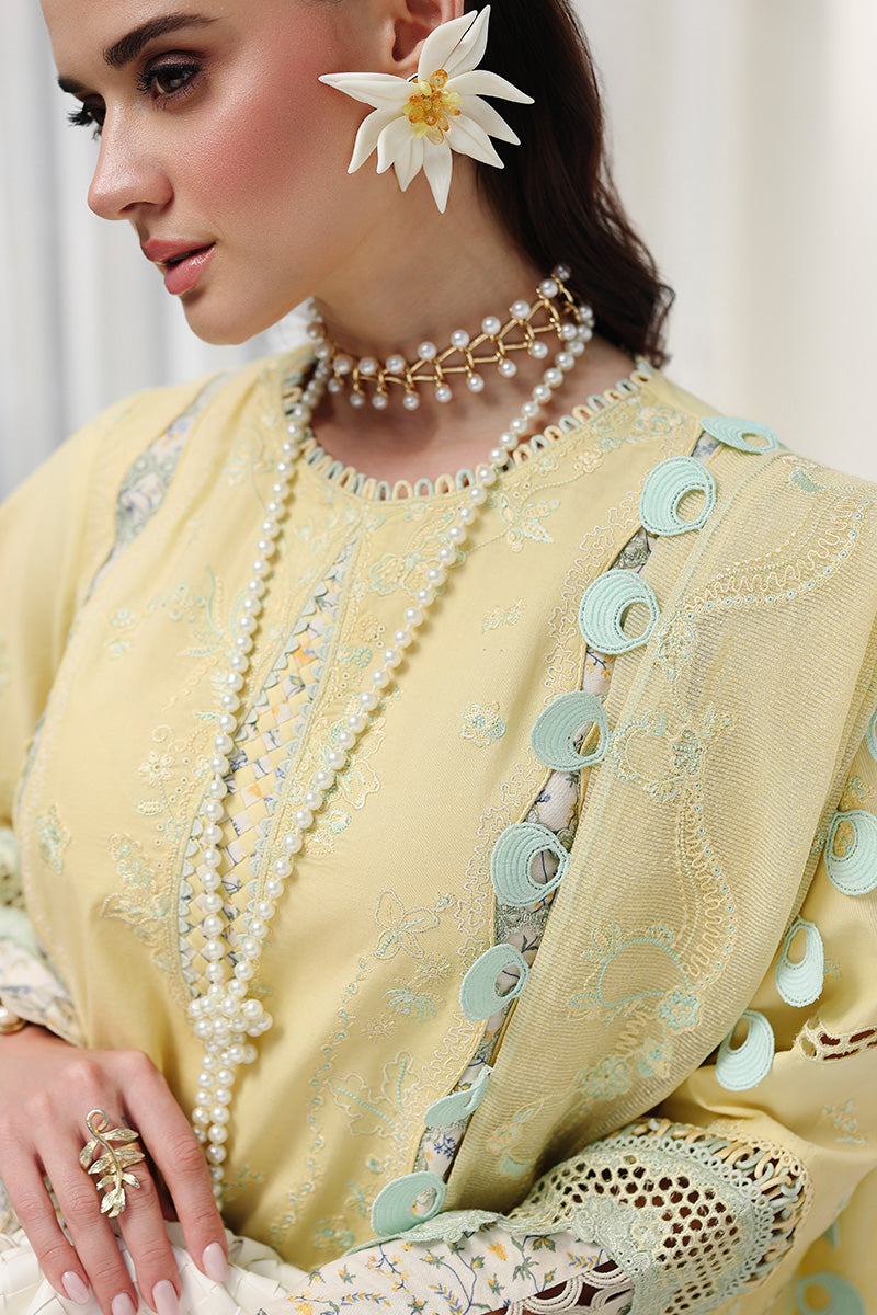 Qalamkar Chikankari Eid Edit '26