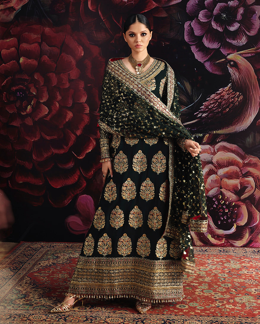 Roheenaz Royale Eternel | Chiffon Edit '26