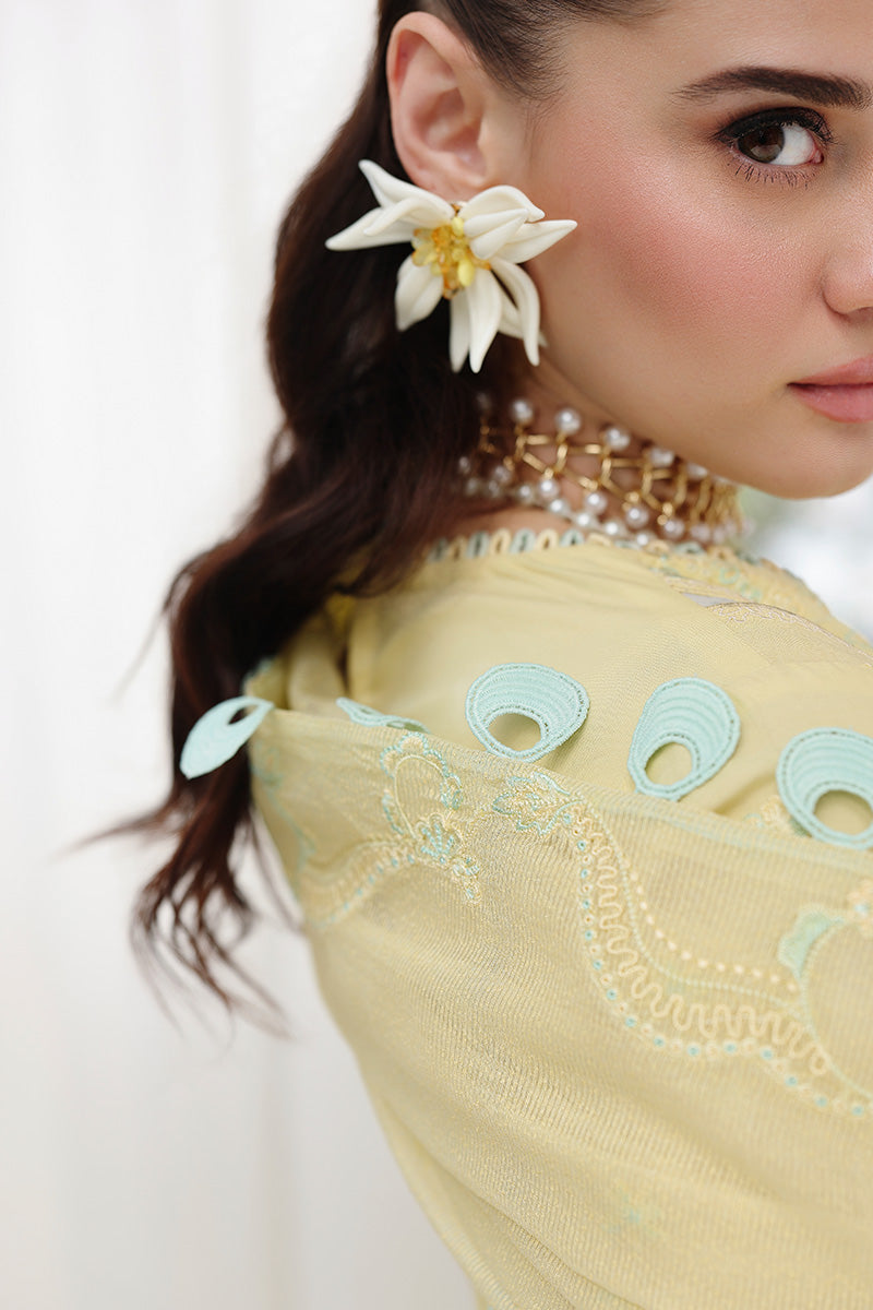 Qalamkar Chikankari Eid Edit '26