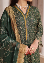 Aiza Momina Chikankari-D-55
