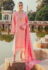 Rajbari Chikankari Winter