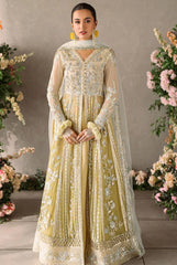 Mushq Mastani Evening Chiffon-D106