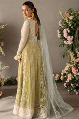 Mushq Mastani Evening Chiffon-D106
