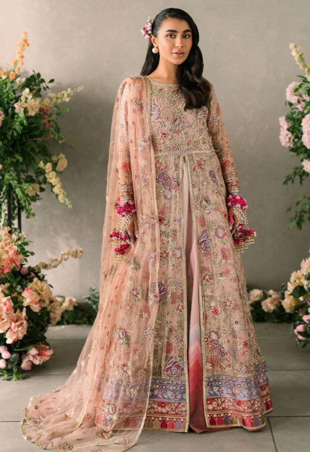 Mushq Mastani Evening Chiffon-D107