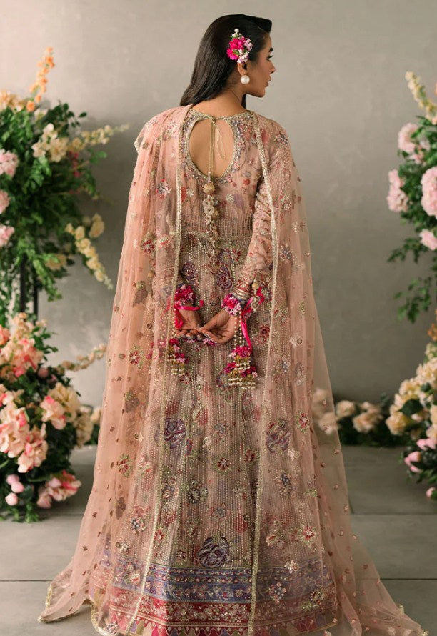 Mushq Mastani Evening Chiffon-D107