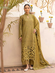 Noor e Chasham By Aalaya Summer Vol 02 '25
