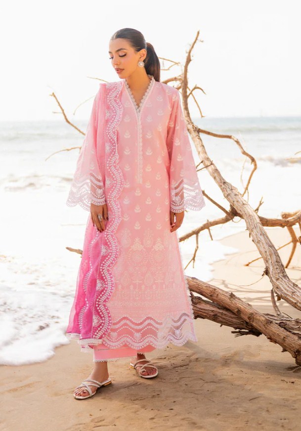 ZC Chikankari Luxury -AMYRA-8B