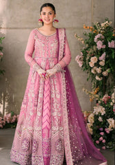 Mushq Mastani Evening Chiffon-D108