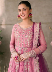 Mushq Mastani Evening Chiffon-D108