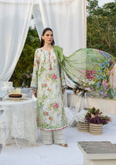 ELAF PRINTS CHIFFON 2025 VOL 1