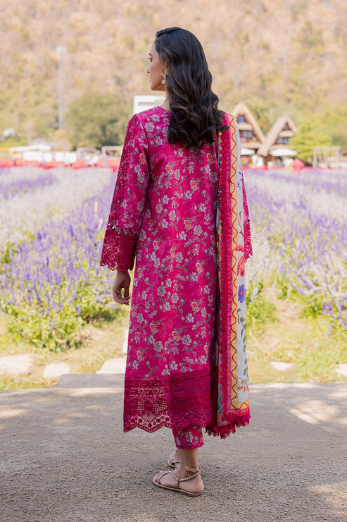 SHEZLIN CHIKANKARI EID EDIT '26