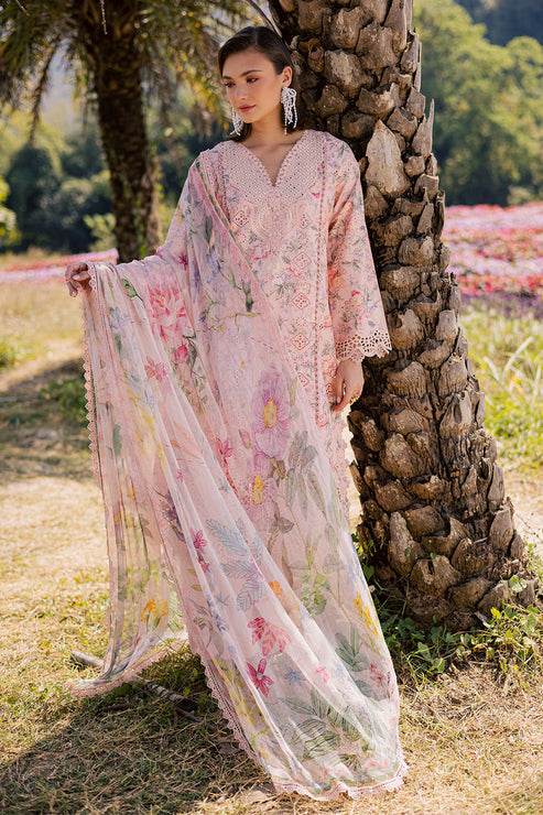 SHEZLIN CHIKANKARI EID EDIT '26