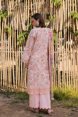 SHEZLIN CHIKANKARI EID EDIT '26