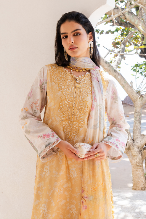 SHEZLIN CHIKANKARI EDIT '26 By Aabyaan