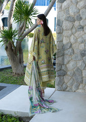 ELAF PREMIUM SANTORINI PRINTS COLLECTION 2026