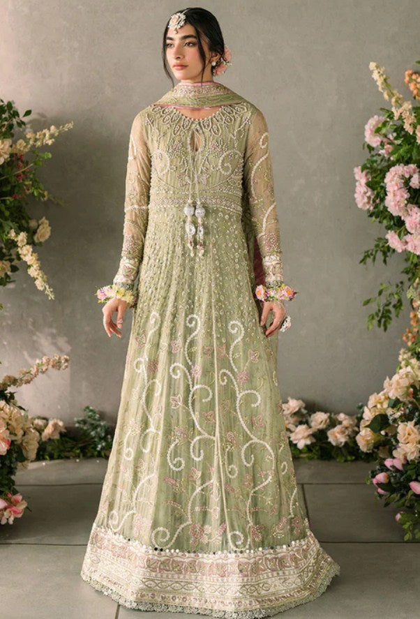 Mushq Mastani Evening Chiffon-D110