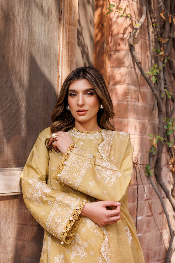 Farasha Dastoor Embroidered Lawn Collection '24 (03)