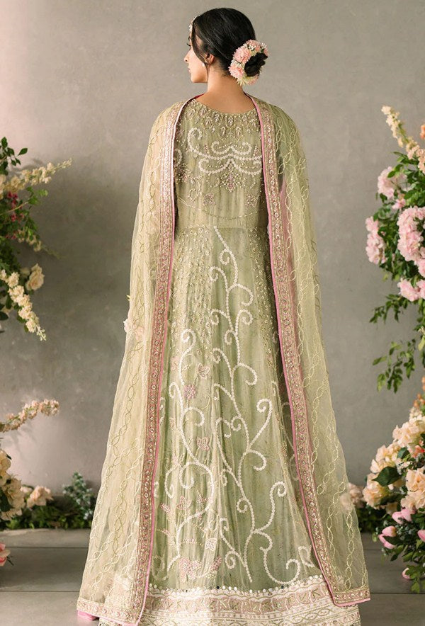 Mushq Mastani Evening Chiffon-D110