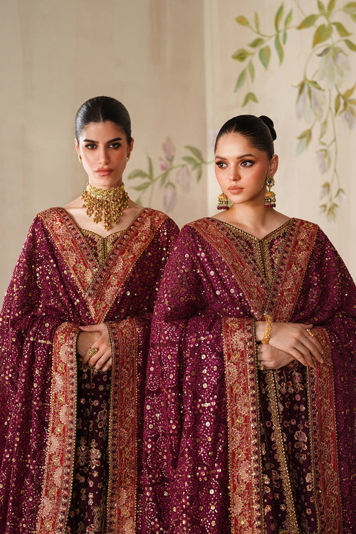 Baroque Chantelle Embroidered Collection 25