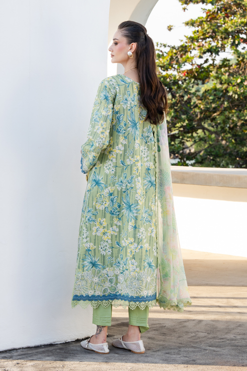 SHEZLIN CHIKANKARI EDIT '26 By Aabyaan