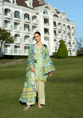 ELAF PRINTS COLLECTION 2025