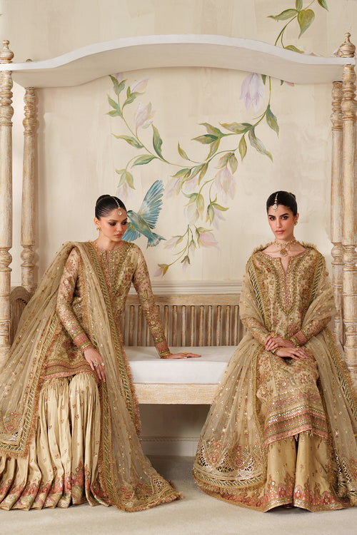 Baroque Chantelle Embroidered Collection 25