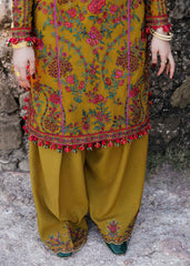 Hussain Rehar Karandi Collection