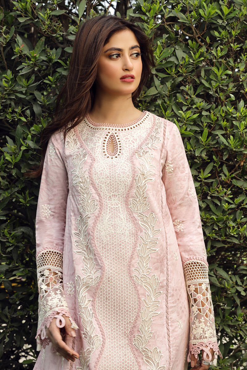 Qalamkar Festive Lawn Collection '24 (09)