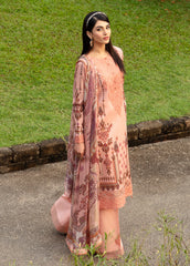 Springtime Ballet Lawn Collection By Gulaal