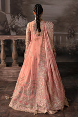 Afrozeh Luxury Embroidered Bridal Collection Brides Edition 586