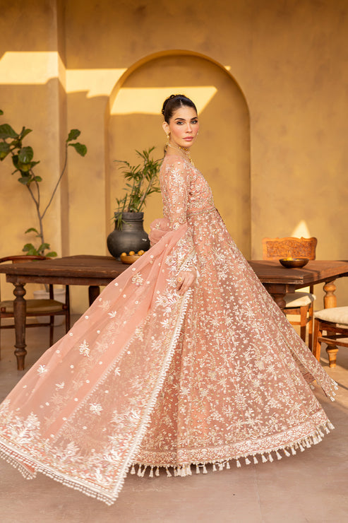 Regalia Luxury Formals By Emaan Adeel