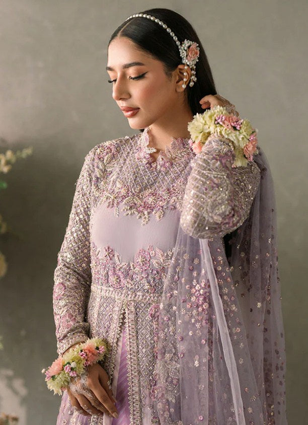 Mushq Mastani Evening Chiffon-D101