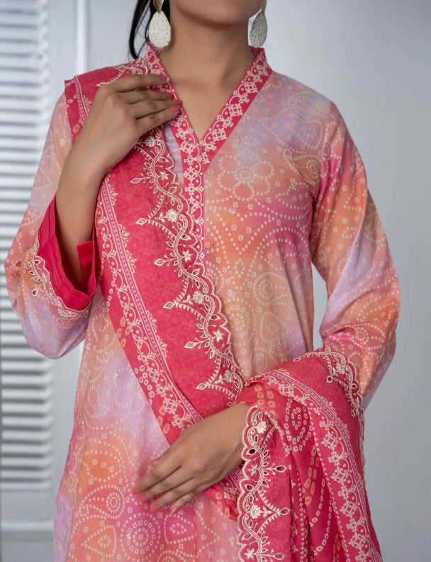 VS Zynah Chikankari -D-339