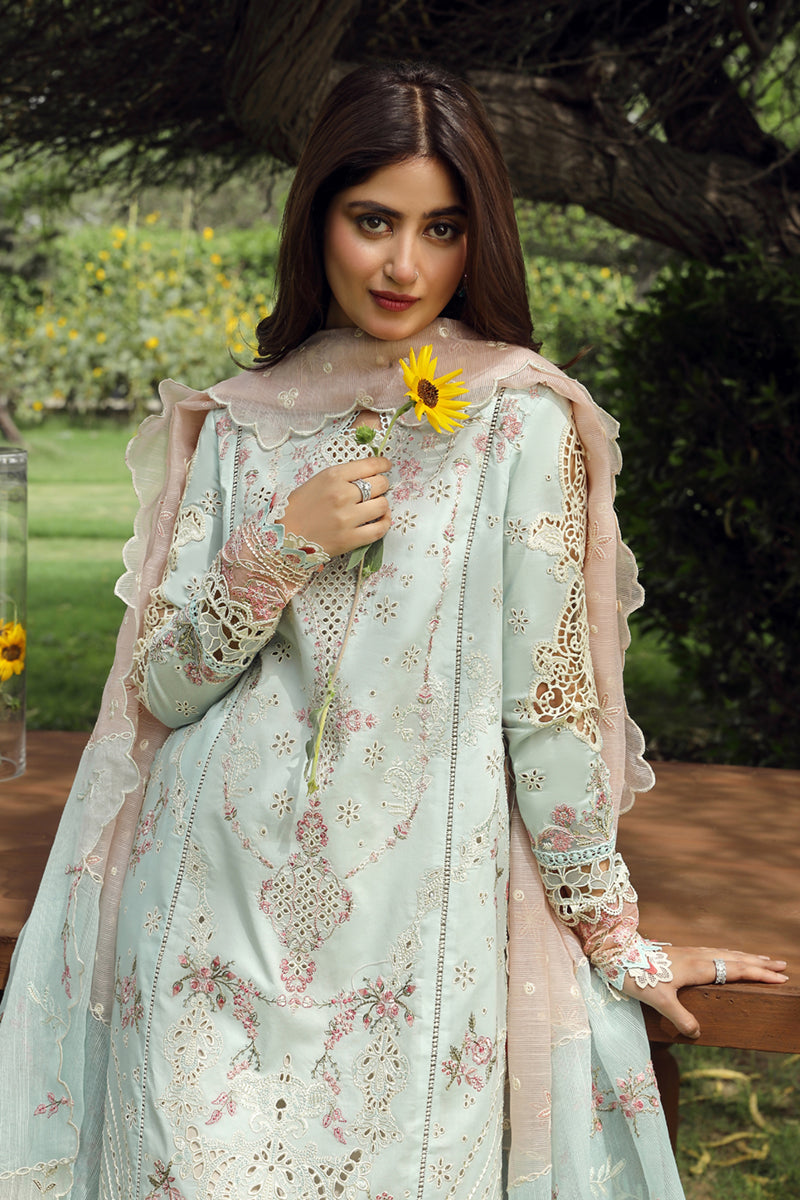 Qalamkar Festive Lawn Collection '24 (01)