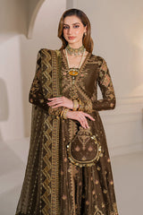 Baroque Velvet Embroidered Collection 24