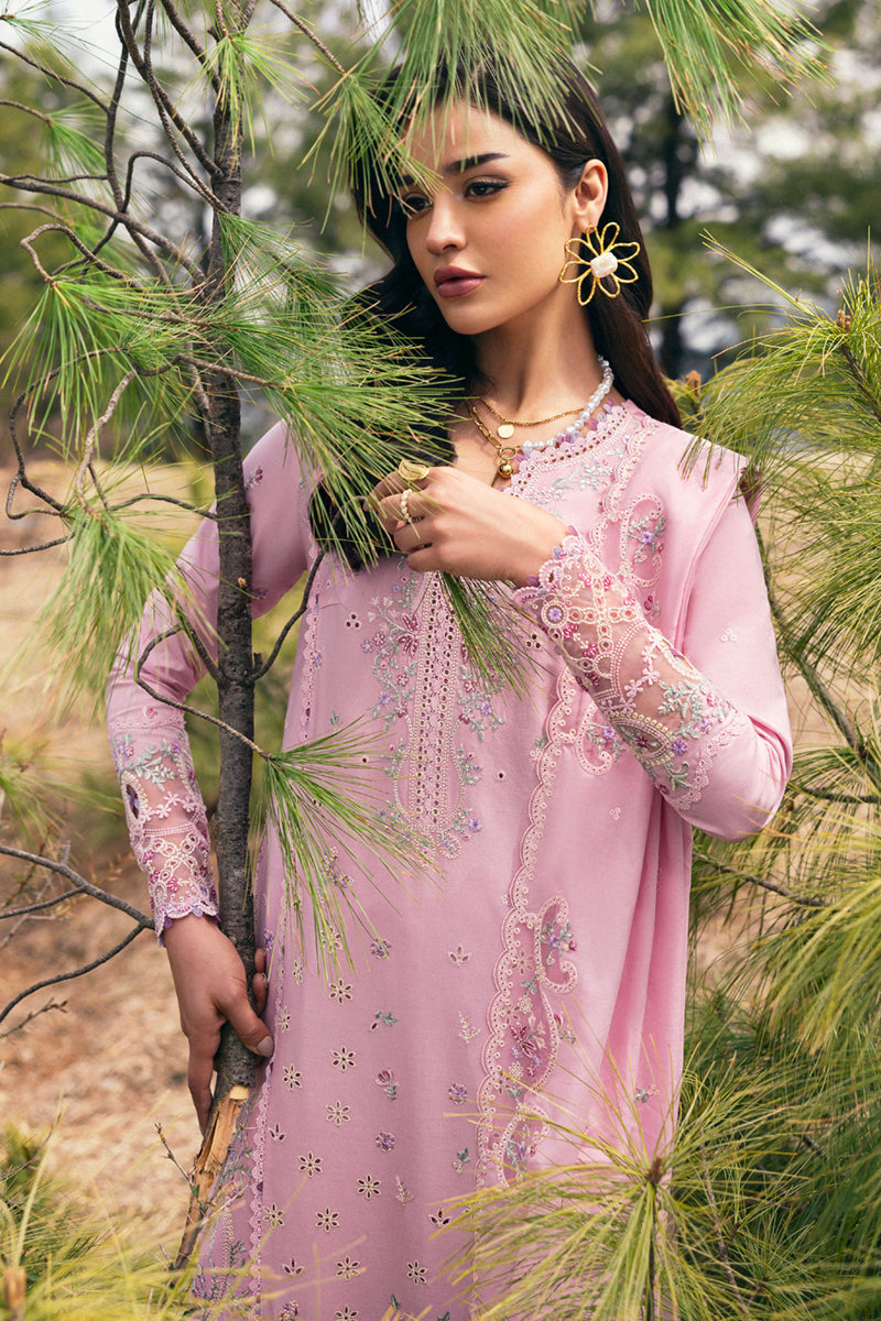 Qalamkar Qlinekari Lawn 25