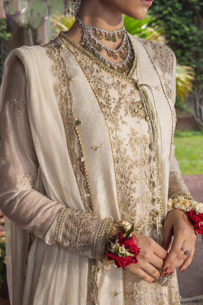 Rang Rasiya Wedding Formals '25