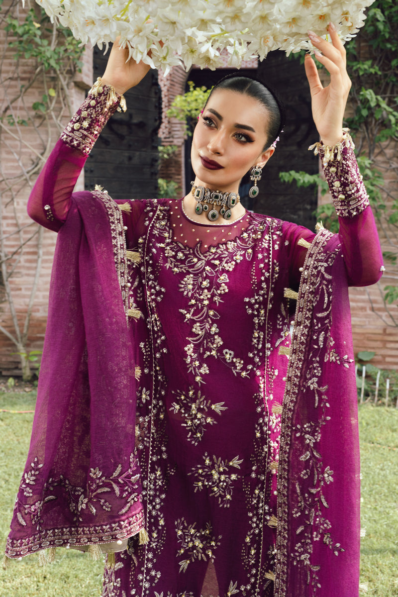 Rang Rasiya Wedding Formals '25