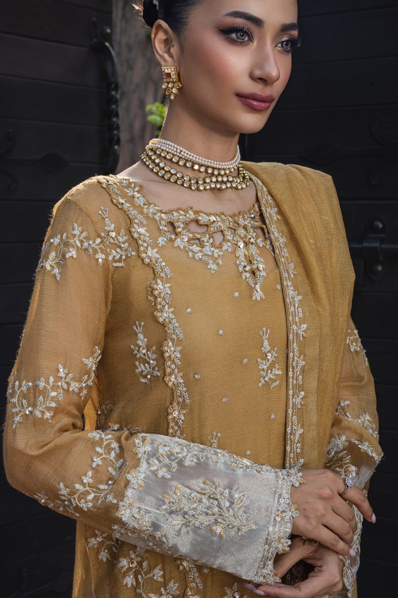 Rang Rasiya Wedding Formals '25
