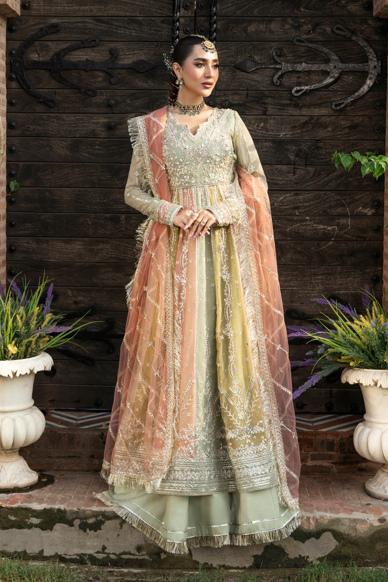 Rang Rasiya Wedding Formals '25