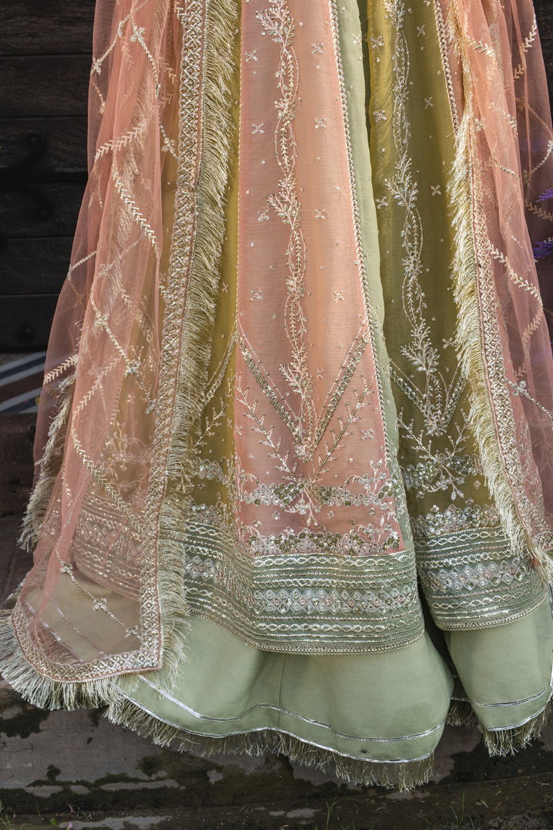 Rang Rasiya Wedding Formals '25