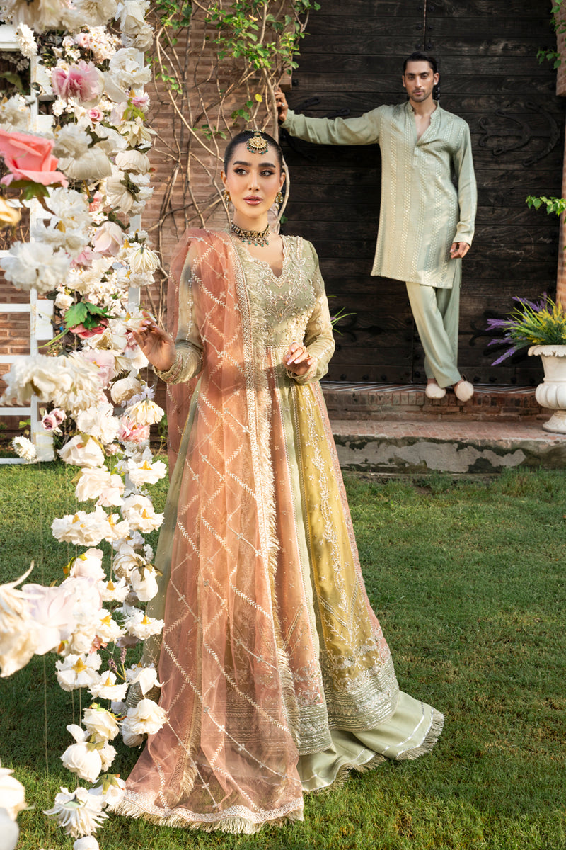 Rang Rasiya Wedding Formals '25